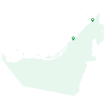 ОАЭ